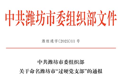 潍坊市规划设计研究院党支部被命名为 潍坊市“过硬党支部”